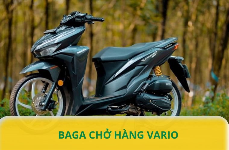 Baga chở hàng vario chất lượng